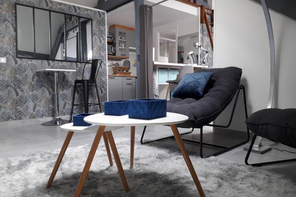 Loft Haut De Gamme Centre Montargis, Place De Parking, Local A Velos, Linge De Lits Et Serviettes, Coin Riviere Amenage, Hamac, Epicerie, Velos En Option, Tout Confort Jusqu'A 4 Voyageurs ภายนอก รูปภาพ