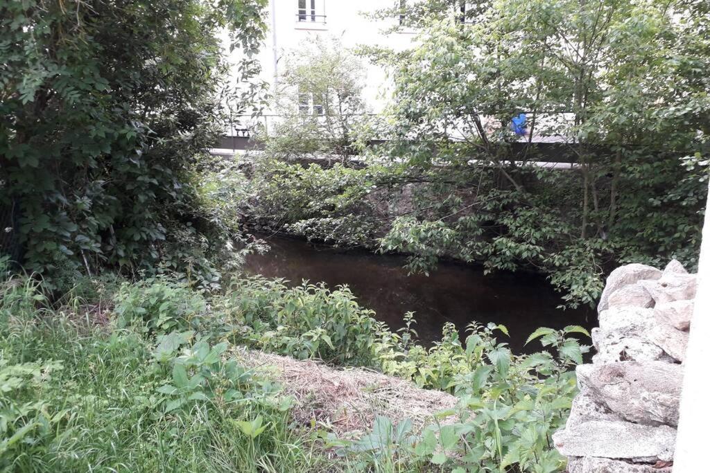 Loft Haut De Gamme Centre Montargis, Place De Parking, Local A Velos, Linge De Lits Et Serviettes, Coin Riviere Amenage, Hamac, Epicerie, Velos En Option, Tout Confort Jusqu'A 4 Voyageurs ภายนอก รูปภาพ