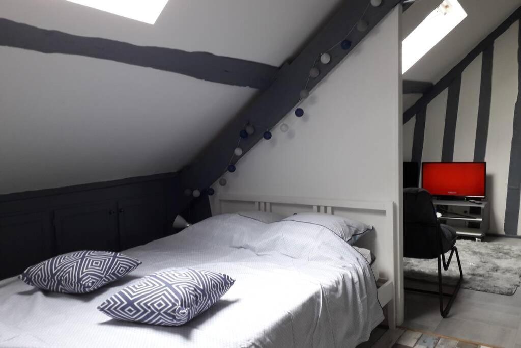 Loft Haut De Gamme Centre Montargis, Place De Parking, Local A Velos, Linge De Lits Et Serviettes, Coin Riviere Amenage, Hamac, Epicerie, Velos En Option, Tout Confort Jusqu'A 4 Voyageurs ภายนอก รูปภาพ