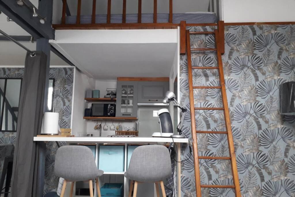 Loft Haut De Gamme Centre Montargis, Place De Parking, Local A Velos, Linge De Lits Et Serviettes, Coin Riviere Amenage, Hamac, Epicerie, Velos En Option, Tout Confort Jusqu'A 4 Voyageurs ภายนอก รูปภาพ