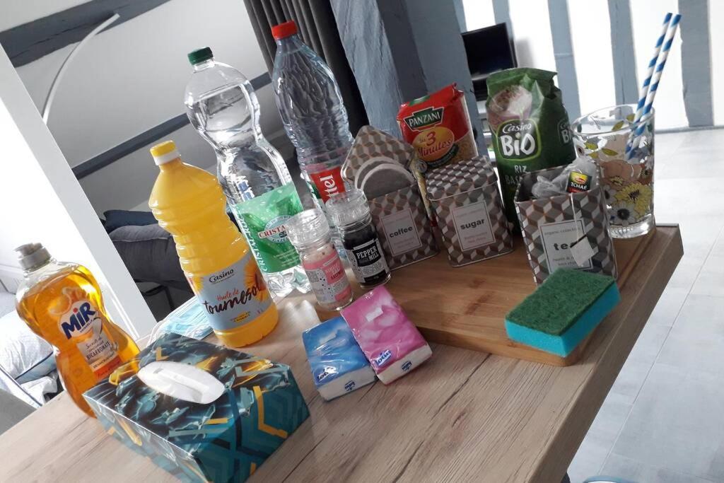 Loft Haut De Gamme Centre Montargis, Place De Parking, Local A Velos, Linge De Lits Et Serviettes, Coin Riviere Amenage, Hamac, Epicerie, Velos En Option, Tout Confort Jusqu'A 4 Voyageurs ภายนอก รูปภาพ