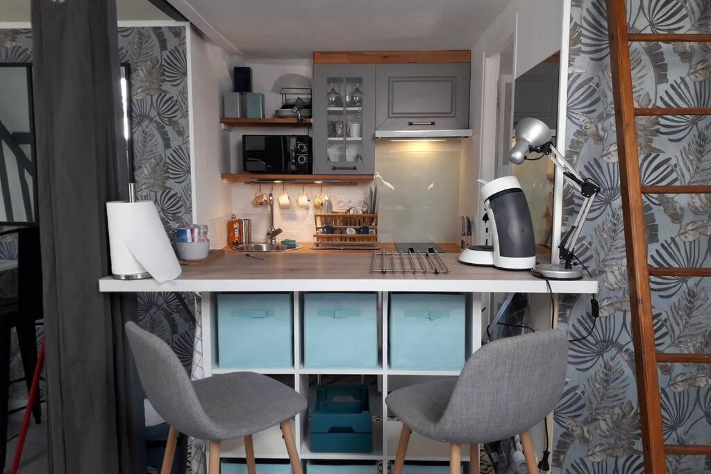 Loft Haut De Gamme Centre Montargis, Place De Parking, Local A Velos, Linge De Lits Et Serviettes, Coin Riviere Amenage, Hamac, Epicerie, Velos En Option, Tout Confort Jusqu'A 4 Voyageurs ภายนอก รูปภาพ