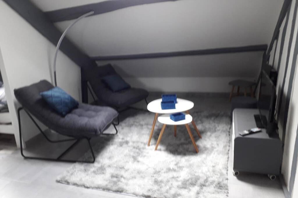 Loft Haut De Gamme Centre Montargis, Place De Parking, Local A Velos, Linge De Lits Et Serviettes, Coin Riviere Amenage, Hamac, Epicerie, Velos En Option, Tout Confort Jusqu'A 4 Voyageurs ภายนอก รูปภาพ
