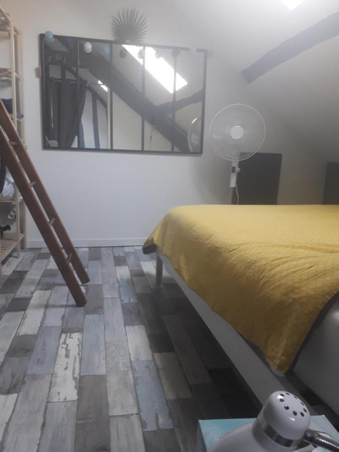 Loft Haut De Gamme Montargis Centre 1 A 4 Personnes Climatisation, Parking, Linge, Wifi, Hamac, Garage A Velos, Velos En Option ภายนอก รูปภาพ