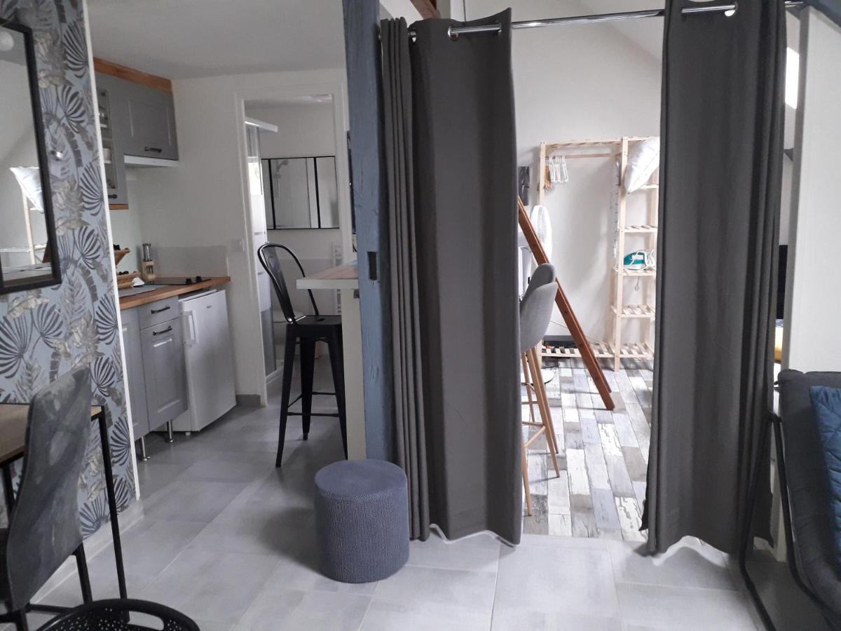 Loft Haut De Gamme Centre Montargis, Place De Parking, Local A Velos, Linge De Lits Et Serviettes, Coin Riviere Amenage, Hamac, Epicerie, Velos En Option, Tout Confort Jusqu'A 4 Voyageurs ภายนอก รูปภาพ