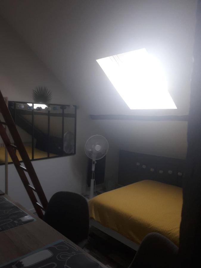 Loft Haut De Gamme Centre Montargis, Place De Parking, Local A Velos, Linge De Lits Et Serviettes, Coin Riviere Amenage, Hamac, Epicerie, Velos En Option, Tout Confort Jusqu'A 4 Voyageurs ภายนอก รูปภาพ