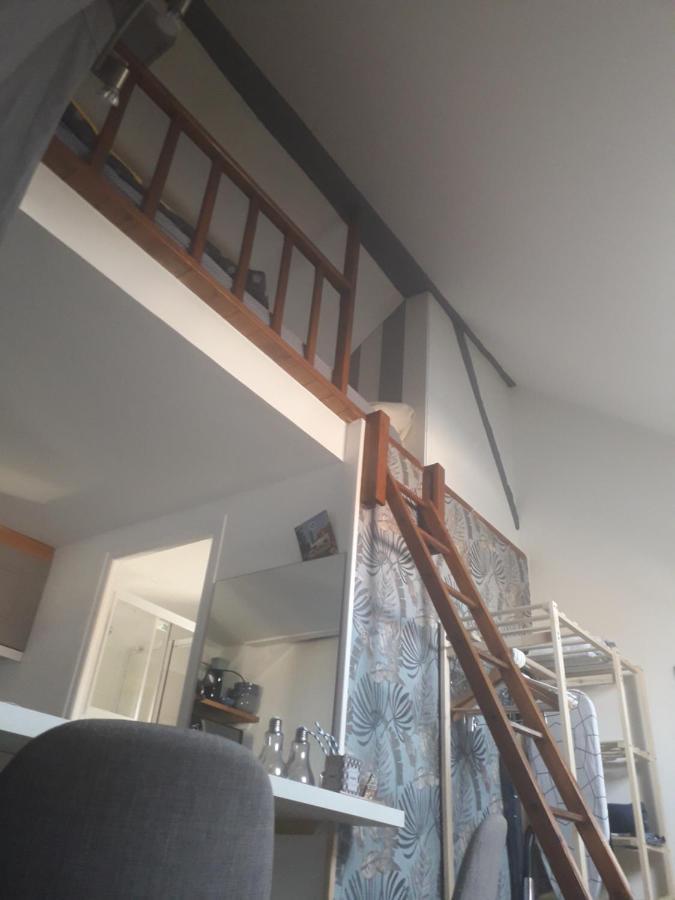 Loft Haut De Gamme Centre Montargis, Place De Parking, Local A Velos, Linge De Lits Et Serviettes, Coin Riviere Amenage, Hamac, Epicerie, Velos En Option, Tout Confort Jusqu'A 4 Voyageurs ภายนอก รูปภาพ