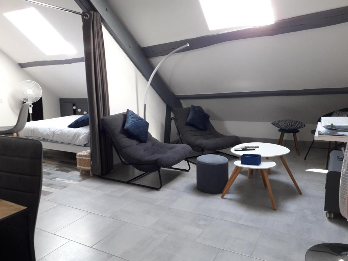 Loft Haut De Gamme Montargis Centre 1 A 4 Personnes Climatisation, Parking, Linge, Wifi, Hamac, Garage A Velos, Velos En Option ภายนอก รูปภาพ