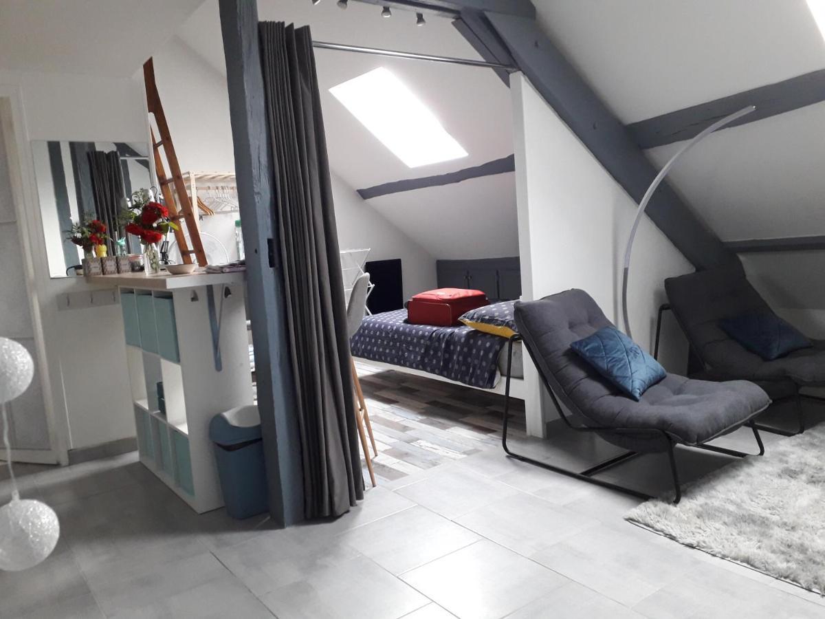 Loft Haut De Gamme Centre Montargis, Place De Parking, Local A Velos, Linge De Lits Et Serviettes, Coin Riviere Amenage, Hamac, Epicerie, Velos En Option, Tout Confort Jusqu'A 4 Voyageurs ภายนอก รูปภาพ